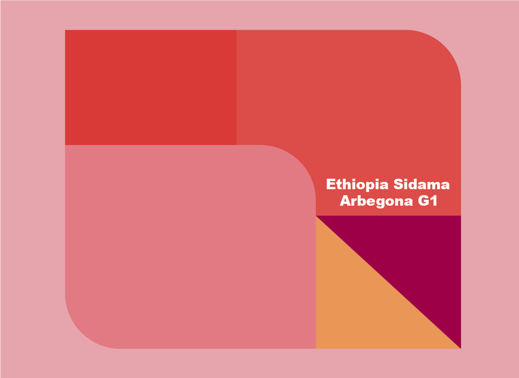 에티오피아 시다마 아르베고나 G1 (Natural) 200g