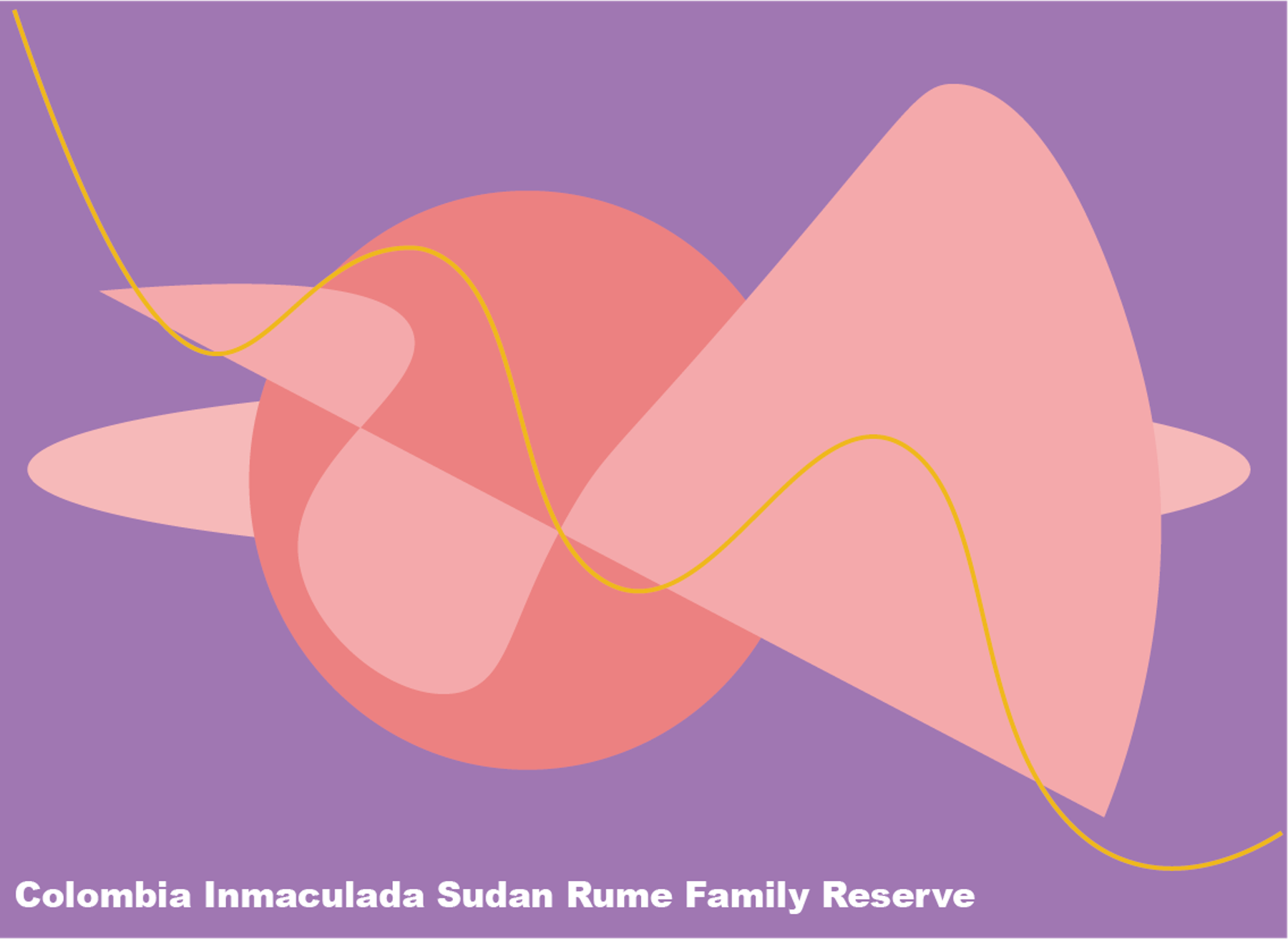 콜롬비아 인마쿨라다 수단루메 패밀리리저브  Inmaculada Sudan Rume Family Reservel (Natural) 200g