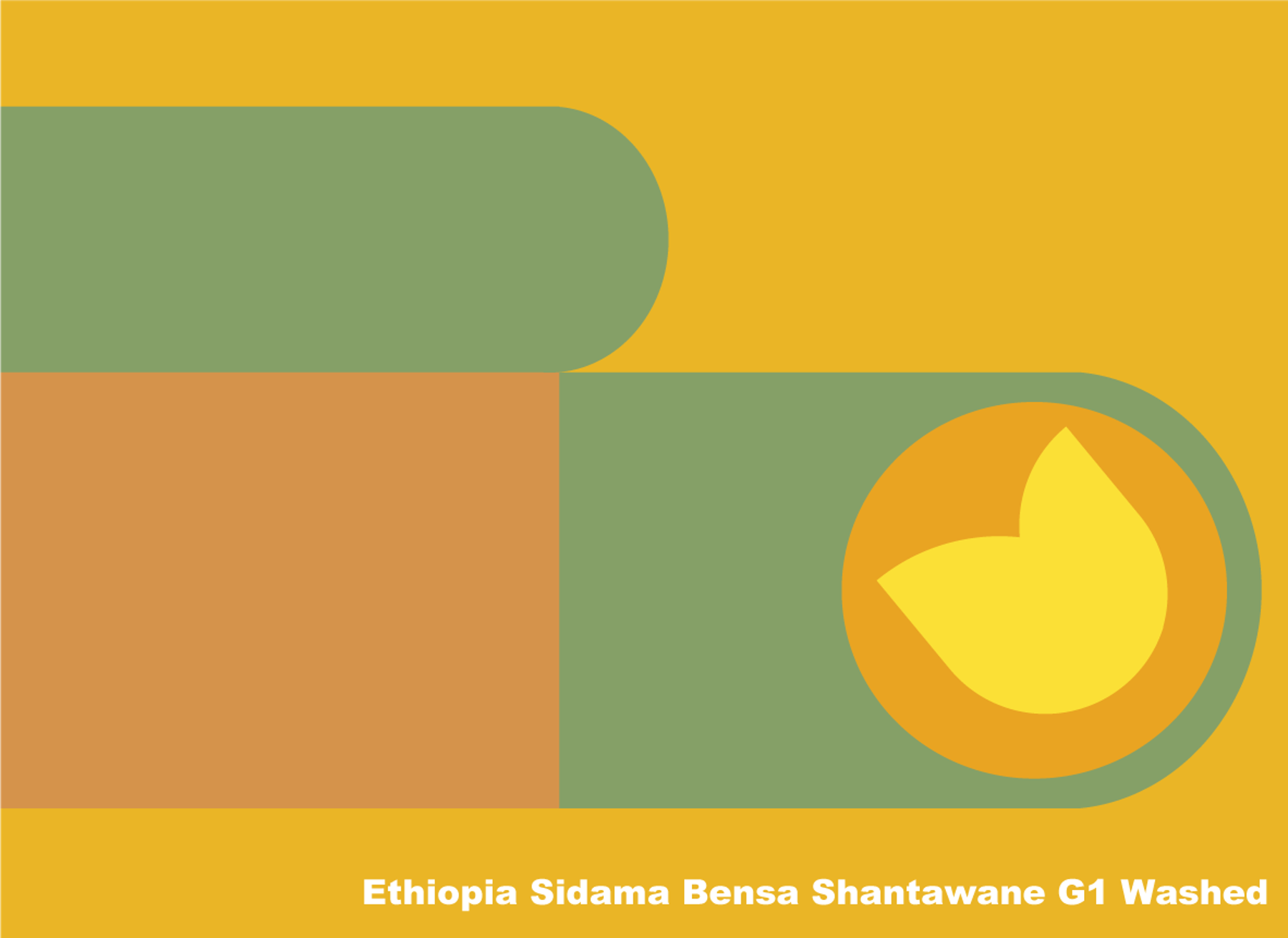에티오피아 시다마 벤사 산타와니 G1 워시드  Ethiopia Sidama Bensa Shantawane G1 Washed 200g